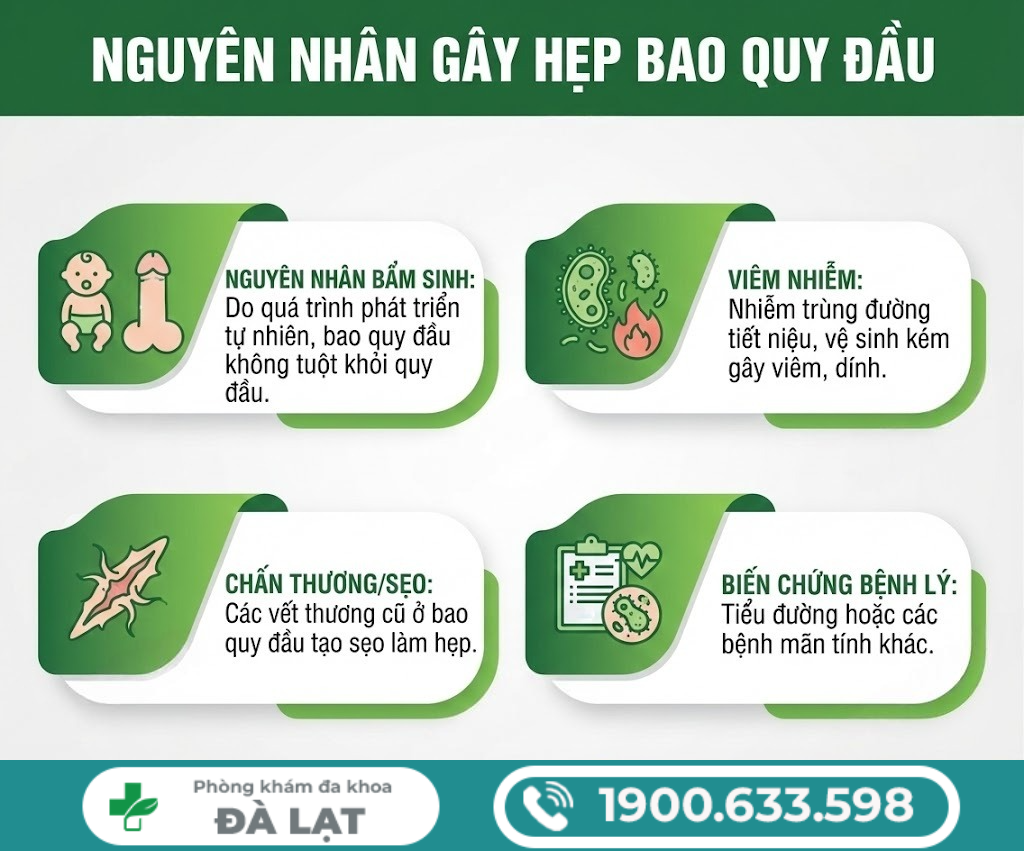 Hình ảnh minh họa